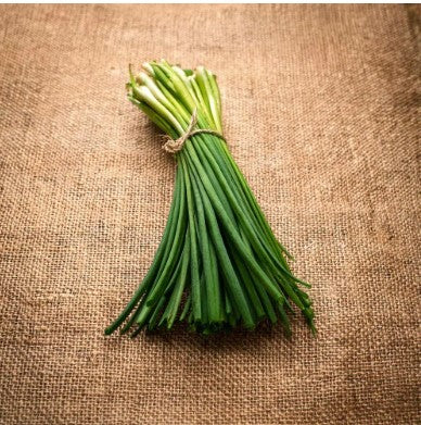 Garlic Chives Seeds (10g) Matihaat