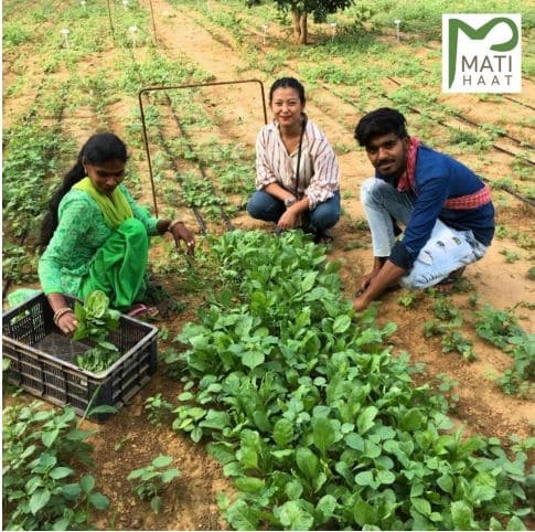 Farmer Testimonial - Nora - Matihaat - Organic Agriculture Inputs