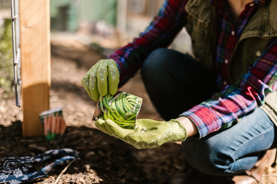 Starting from the Ground Up: How Seed Packs Can Transform Your Gardening Experience - Matihaat - Organic Agriculture Inputs