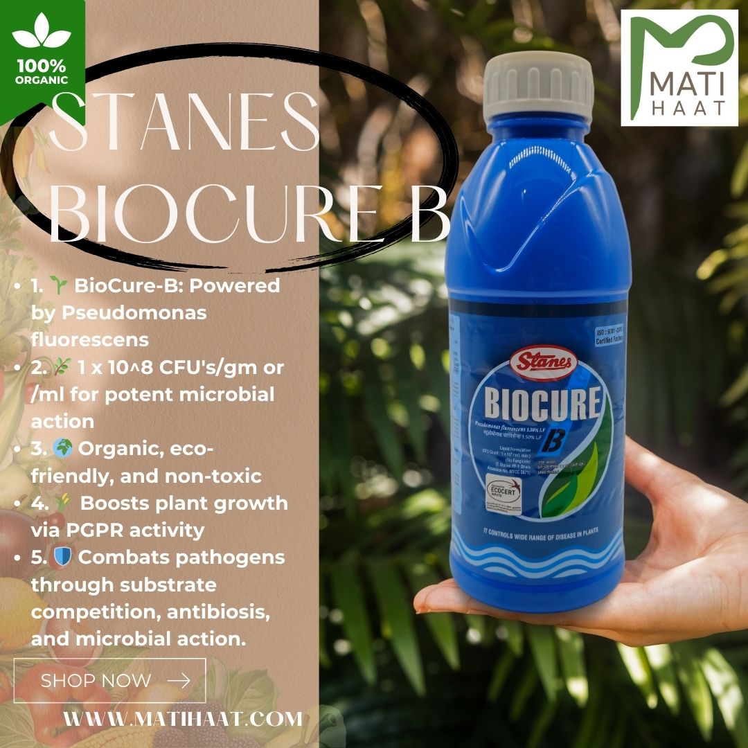 T. Stanes Biocure B 1ltr Matihaat