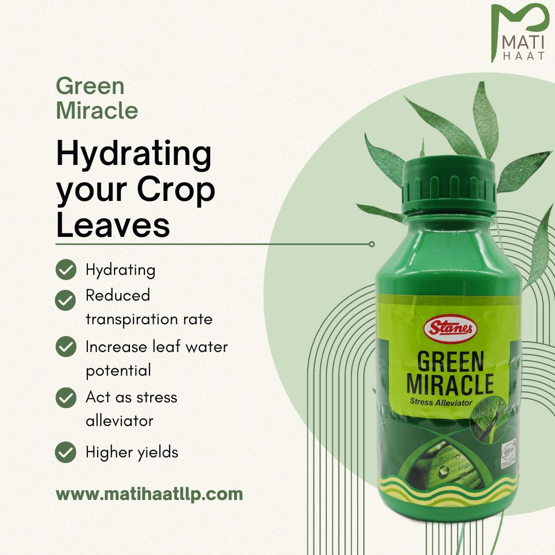 T. Stanes Green Miracle Matihaat