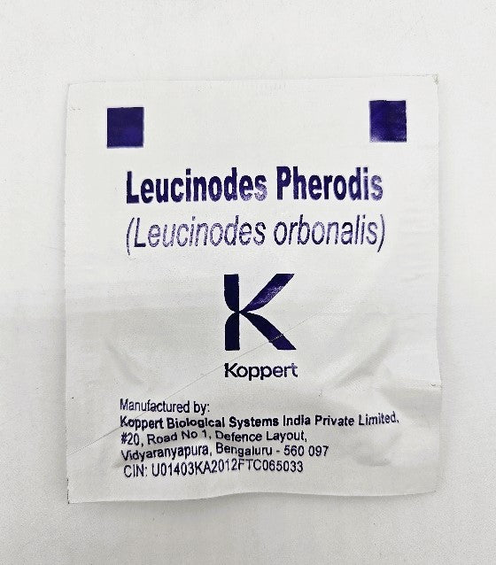 Koppert Leucinodes Pherodis- 2Nos/Pouch Matihaat