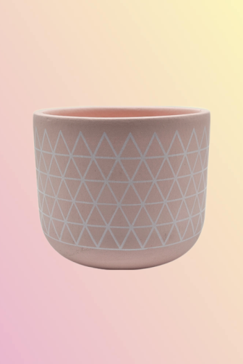 Terra-cotta 4 inch Designer pot Matihaat