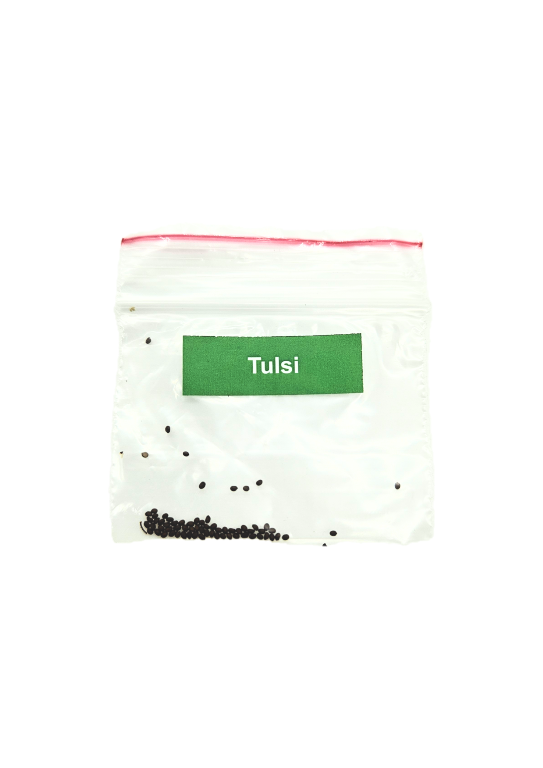 DIY GROW KIT- TULSI Matihaat