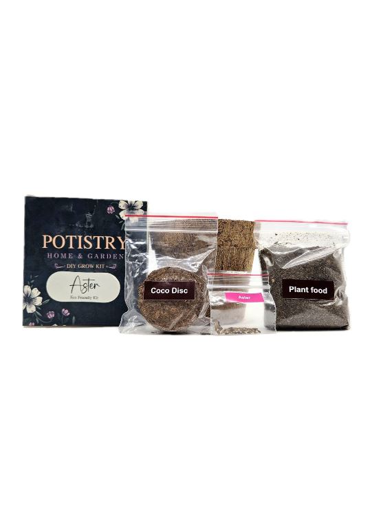 DIY GROW KIT- ASTER Matihaat