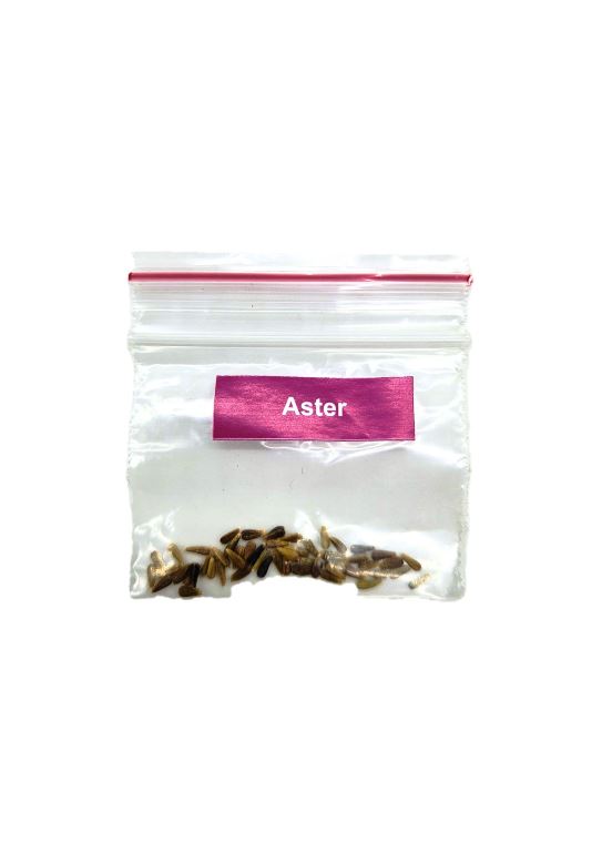 DIY GROW KIT- ASTER Matihaat
