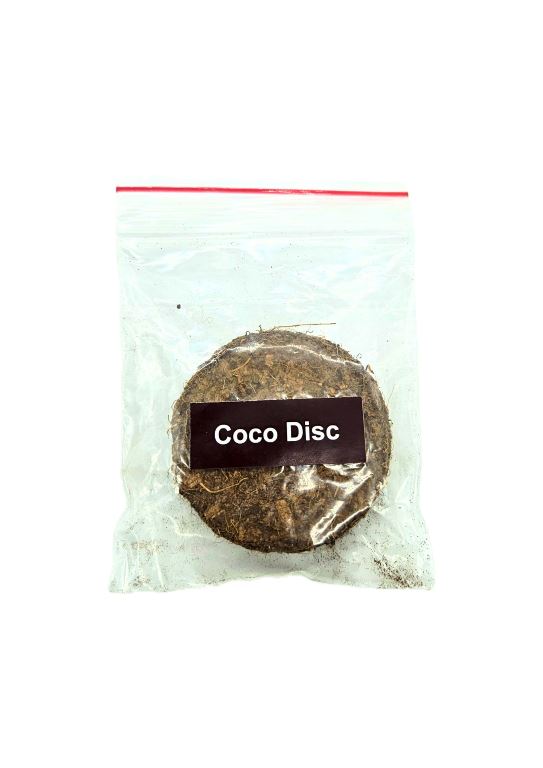 DIY GROW KIT- TULSI Matihaat