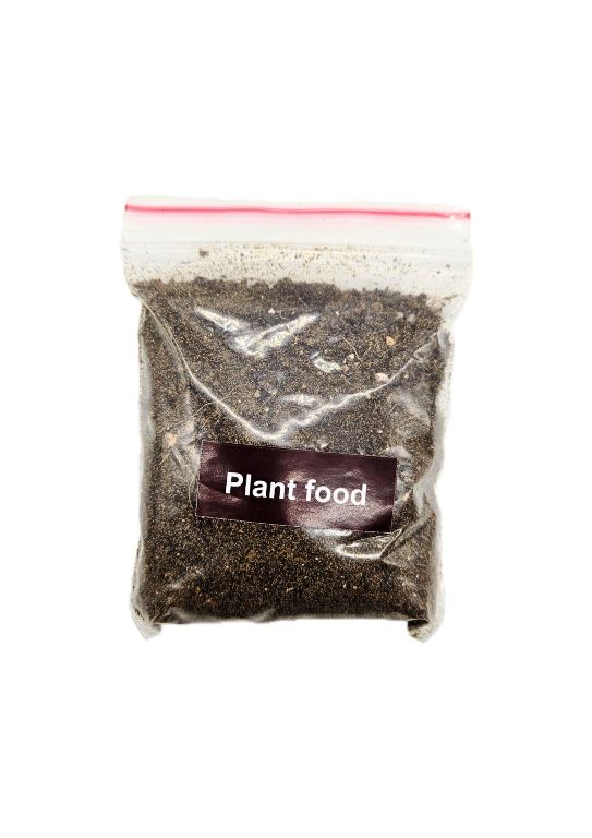DIY GROW KIT- TULSI Matihaat