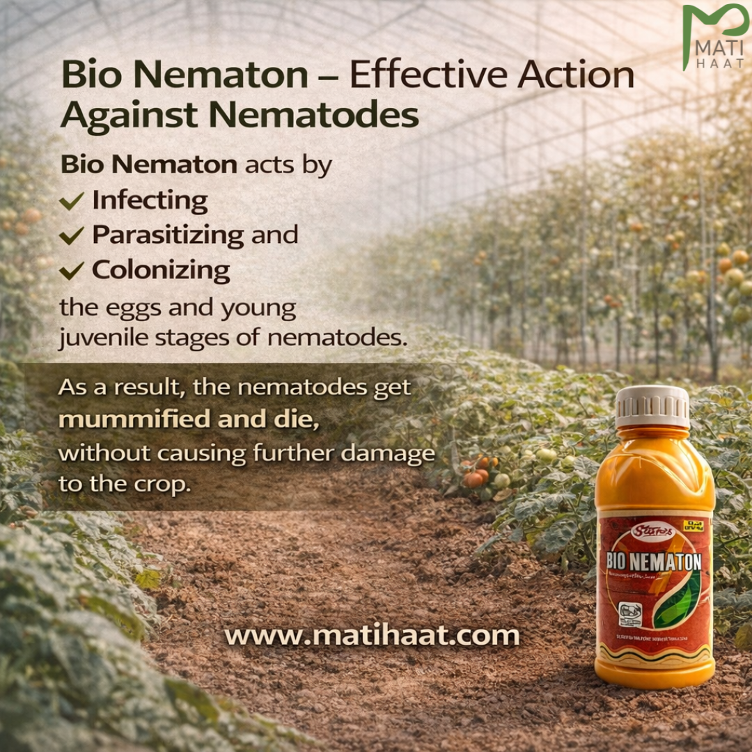 T. Stanes Bio Nematon 1ltr T. Stanes