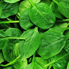 Matihaat Spinach Seeds Matihaat