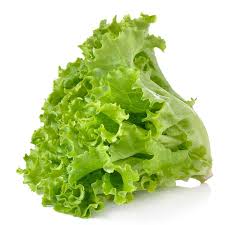 Matihaat Lettuce Green Matihaat