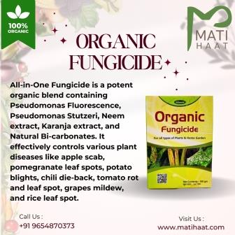 All In One Fungicide Matihaat