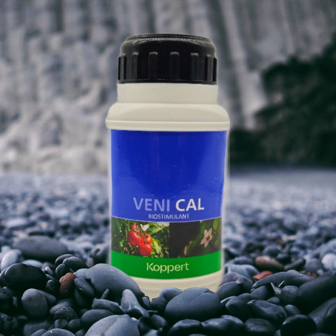 Koppert Veni Cal 250 ml My Store