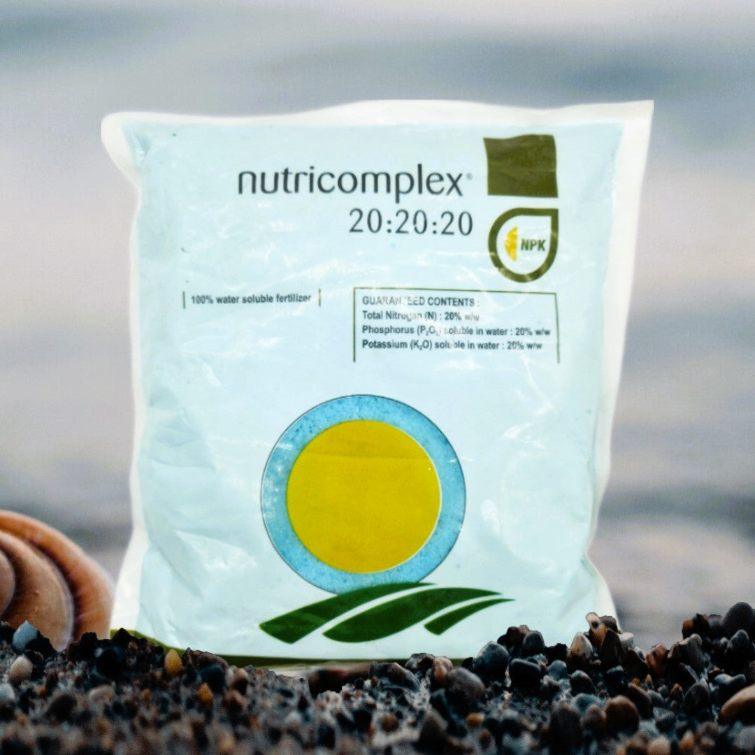 Tradecorp Nutricomplex 20-20-20, 1kg Matihaat