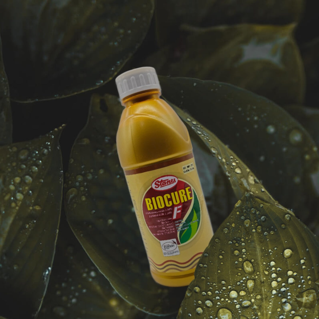 T. Stanes Biocure F 1ltr Matihaat