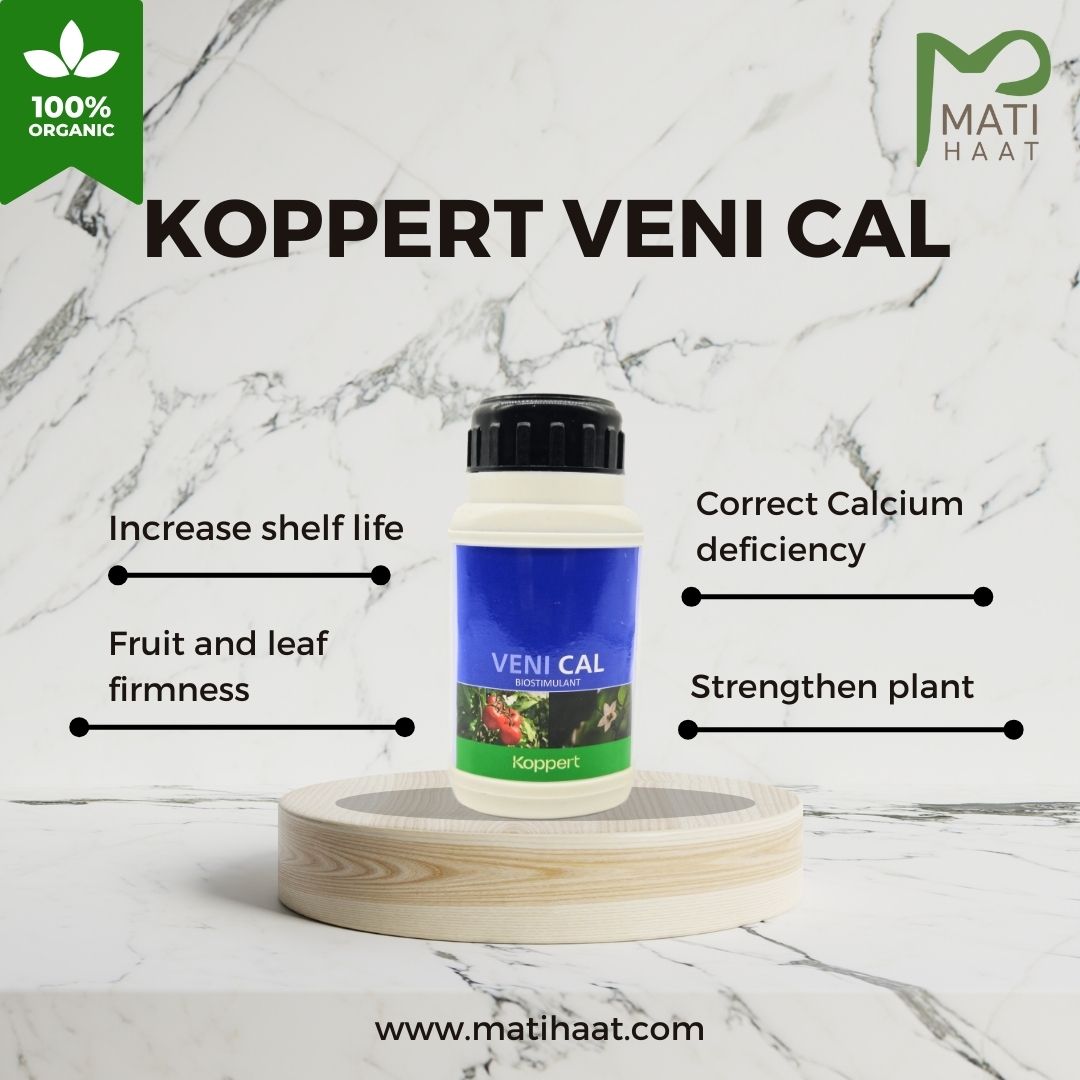 Koppert Veni Cal 250 ml My Store