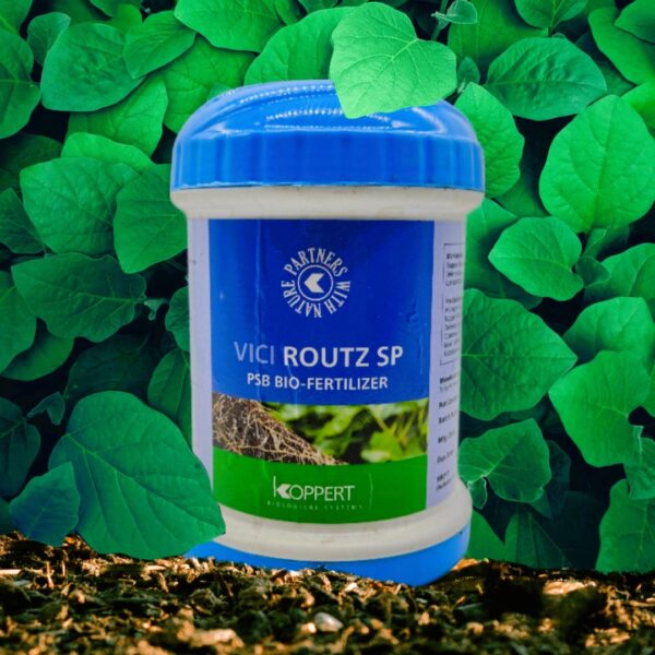 Koppert Vici Routz SP