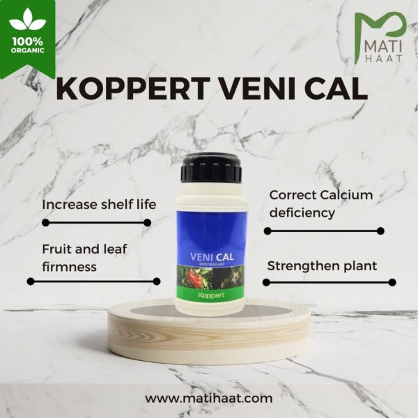 Koppert Veni Cal - Image 4